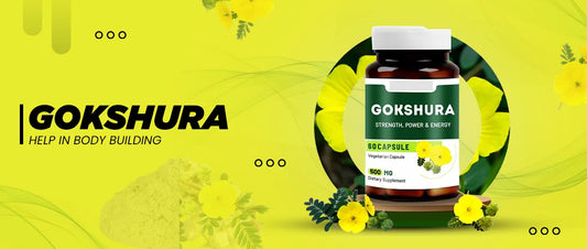 Gokshura