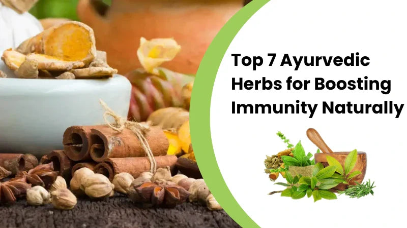 Top 7 Ayurvedic Herbs for Boosting Immunity Naturally