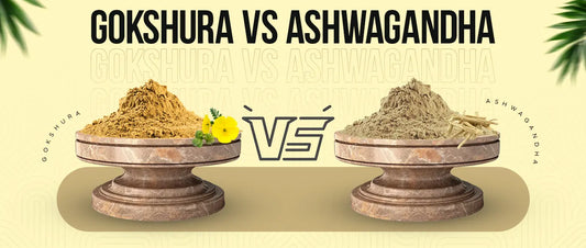 gokshura vs ashwagandha