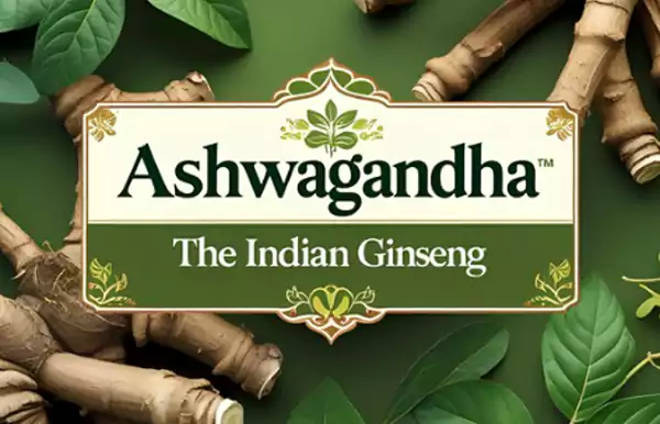 Can Ashwagandha Increase Weight