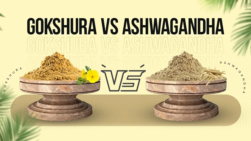 Gokshura vs Ashwagandhaa