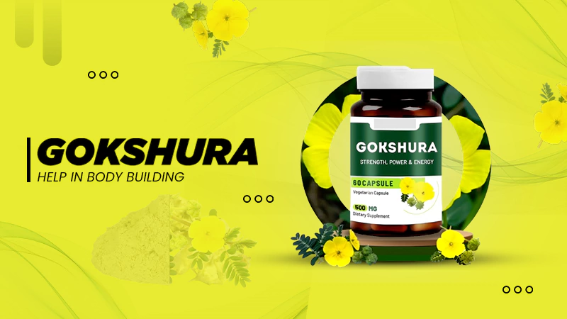 Gokshura