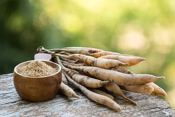 Significance of Satavar powder in Ayurveda