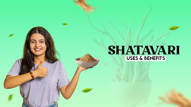 shatvari uses & benifits