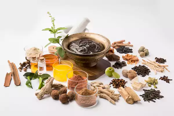 Ayurvedic Herbs