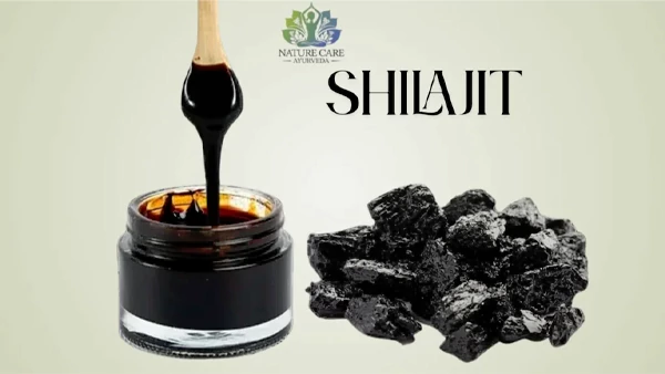 Shilajit