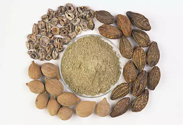 Three fruits of Thiripala
