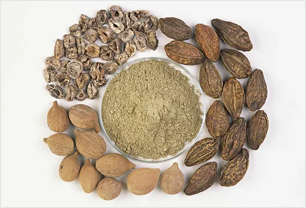 Three fruits of Triphala