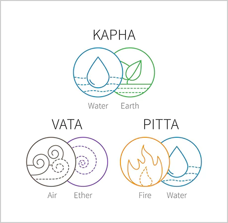 Three principle doshas described in Ayurveda
