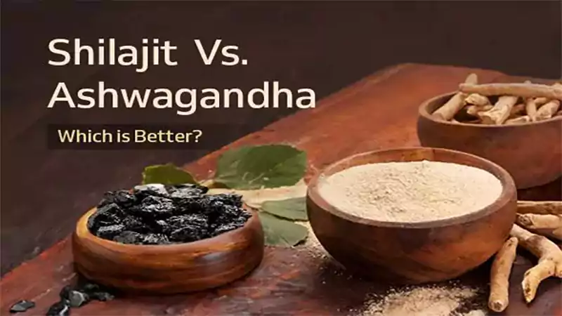 d-Shilajit vs Ashwagandha