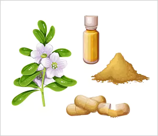 Different forms of Brahmi supplements