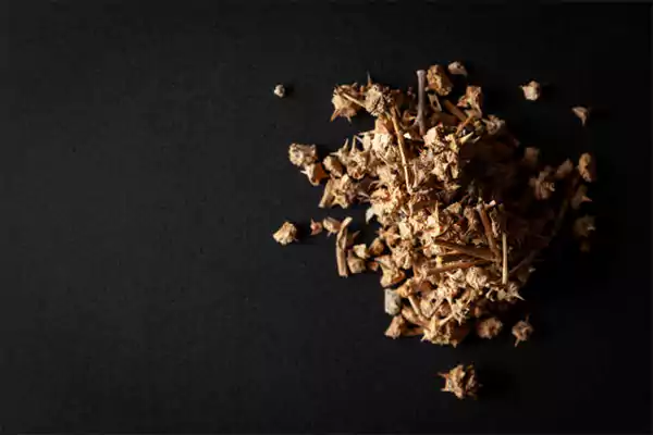 Gokshura Benefits for Females