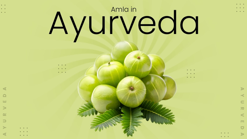 Amla in Ayurveda