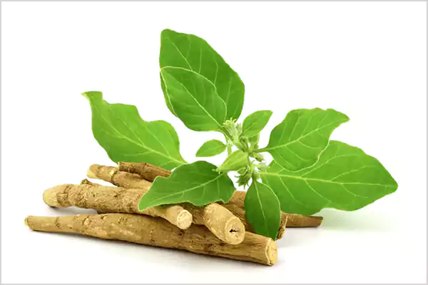 Ashwagandhaa