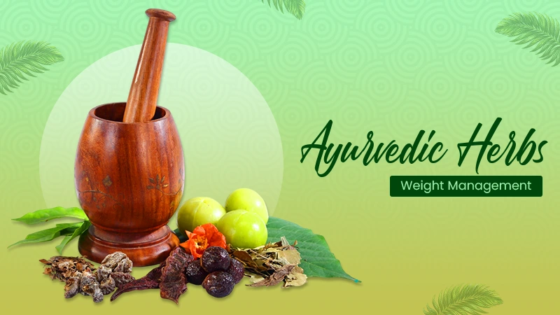Ayurvedic Herbs