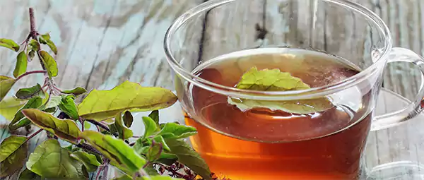 Green tea with tulsi