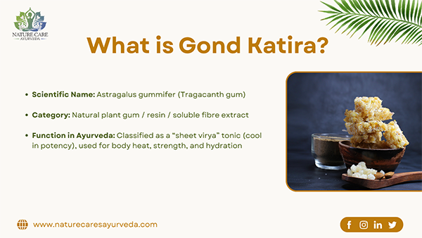 What is Gond Katira