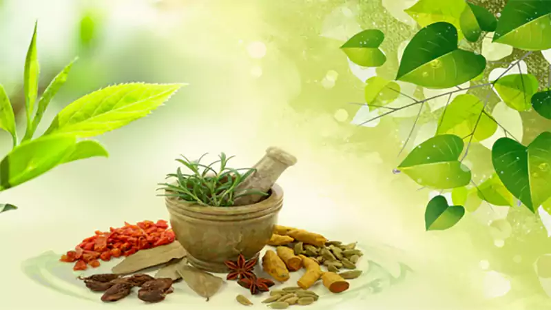 d-Ayurveda for Beginners