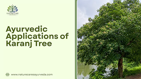 Ayurvedic Applications of Karanj Tree