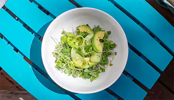 Cucumber Avocado Salad