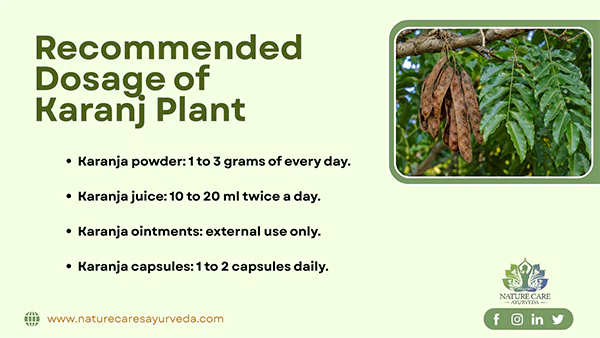 Recommended Dosage of Karanj Plant