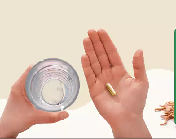 Safed musli capsules