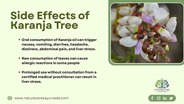 Side Effects of Karanja Tree