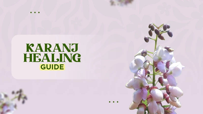 karanj healing guide