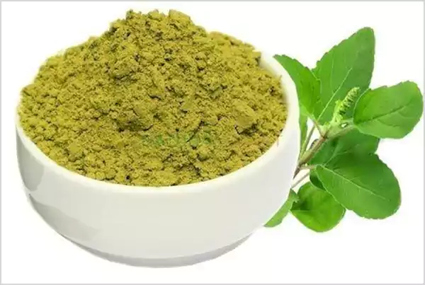Tulsi Powder
