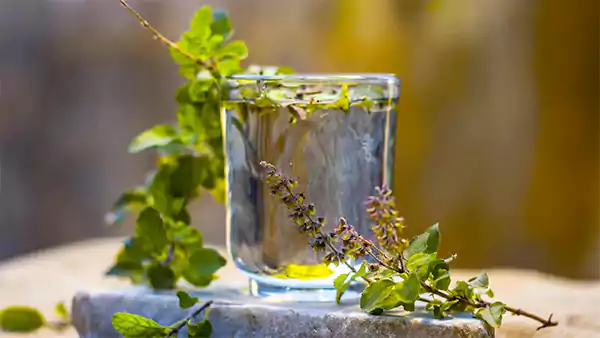 Tulsi Water