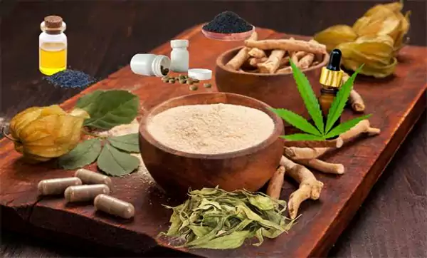 Ayurvedic herbs