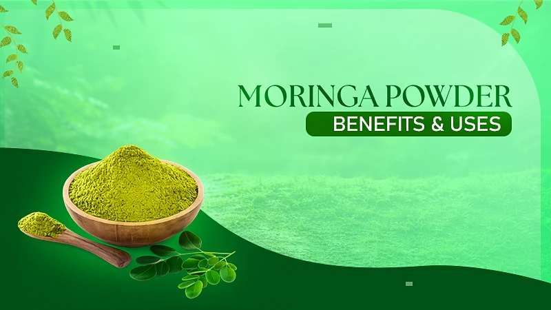 Moringa Powder Benefits Health