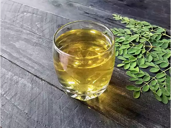 Moringa Warm Water