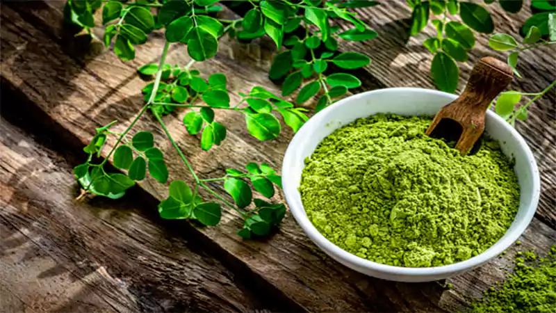 d-Moringa Powder Benefits