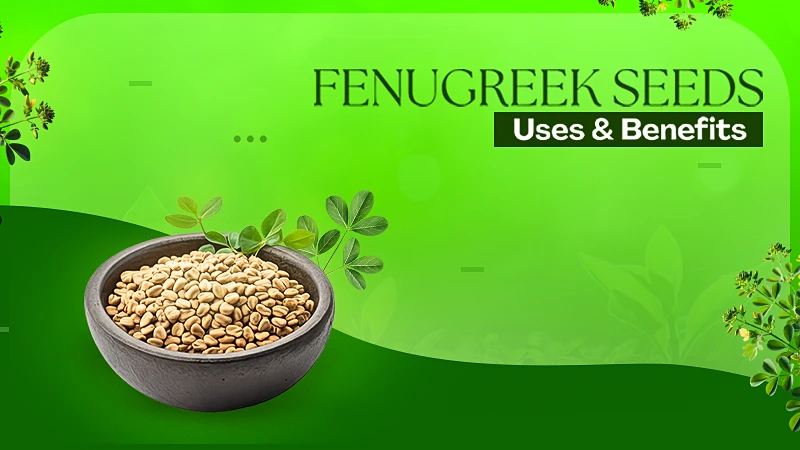 Fenugreek Seeds Benefits in Ayurveda