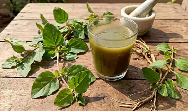 Gadahpurna fresh juice