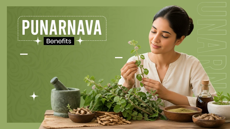 Punarnava Benefits