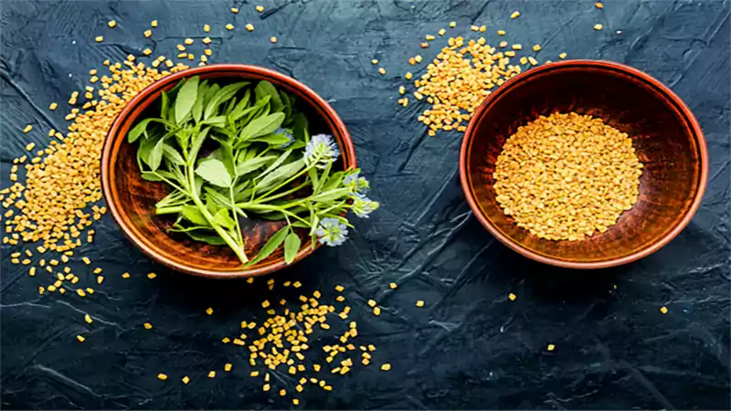 d-Fenugreek Seeds Benefits