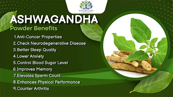 Ashwagandha Powder Benefit