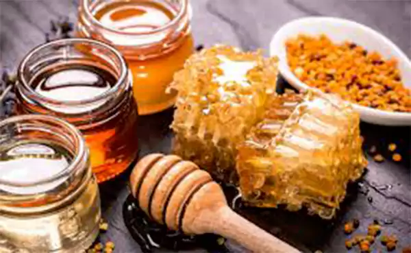 Different Types of Honey