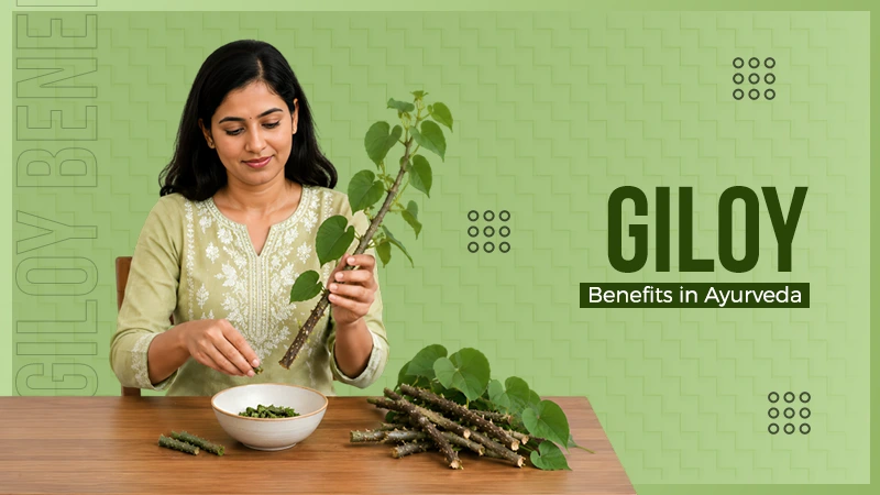 Giloy Benefits
