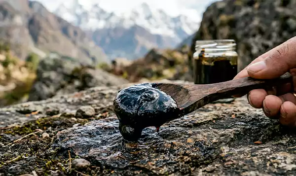 Shilajit resin