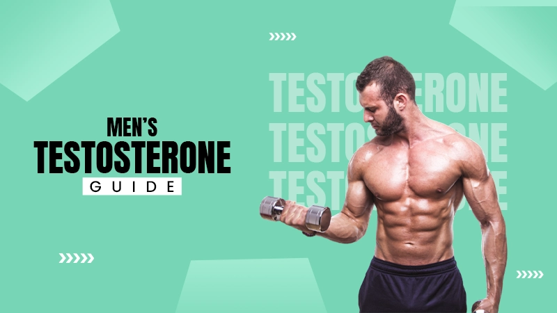 men's testosteron guide