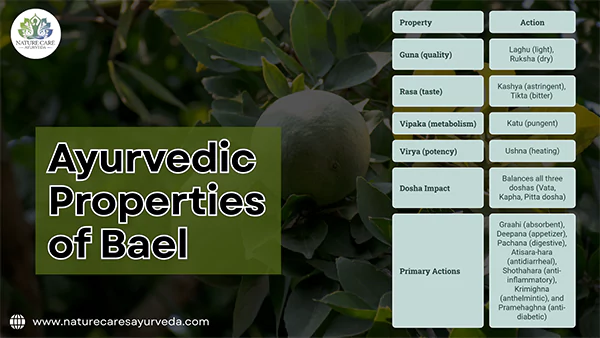 Ayurvedic Properties of Bael