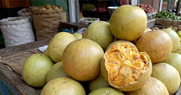 Bael Fresh fruit