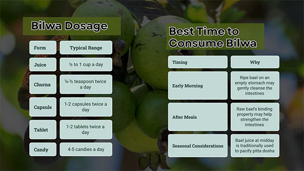 Bilwa Dosage and Best Time to Consume Bilwa