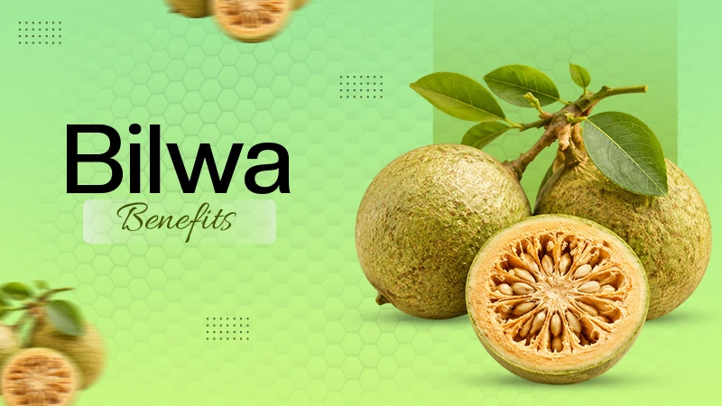 Bilwa