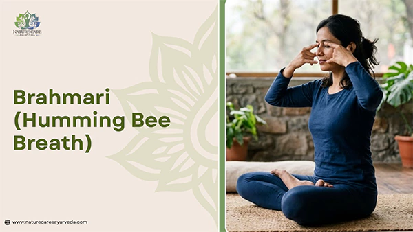 Brahmari Humming Bee Breath