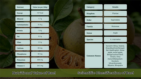 Chart of Nutritional Value of Bael and Scientific Classification of Bael