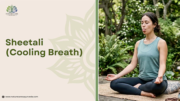 Sheetali Cooling Breath